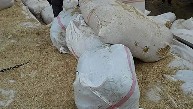 Konya'da kamyondan 60 kilo esrar çıktı
