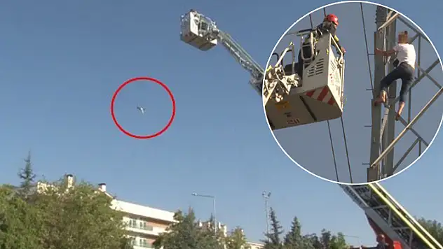 Konya'da kan donduran olay! İntihardan vazgeçmek için istediği kedisini metrelerce yüksekten atıp öldürdü