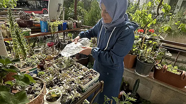 Konya'da kanser tedavisi gören kadın, gelen çiçekleri çoğaltıp evini çiçek bahçesine çevirdi
