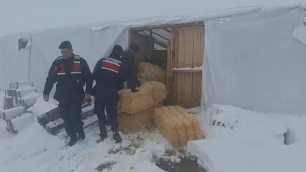 Konya'da kar esareti: Ekipler yardıma koştu