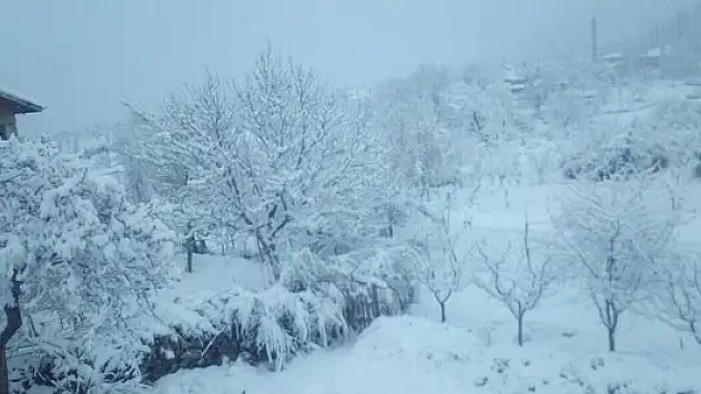 Konya'da kar yağışı nedeniyle çatısı çöken mandırada 6 hayvan telef oldu