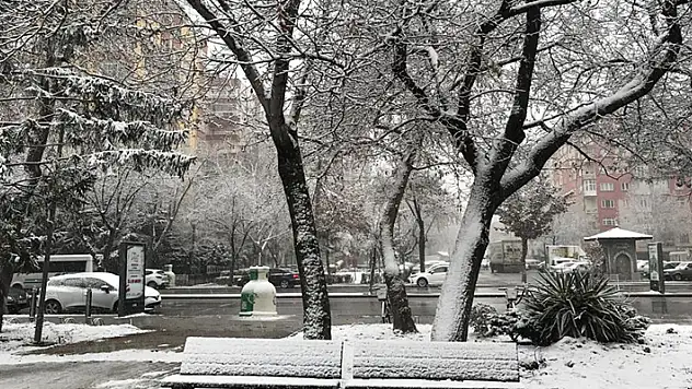 Konya'da kar yağışı yeniden başladı
