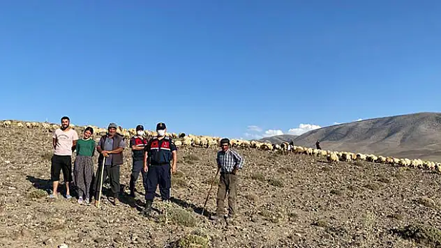 Konya'da kaybolan koyun sürüsünü jandarma dronla buldu