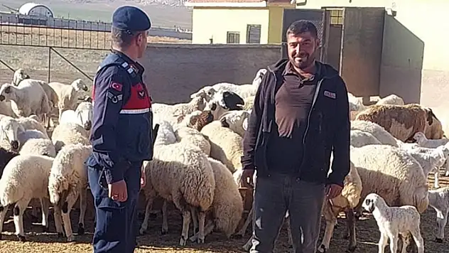Konya'da kaybolan küçükbaş hayvanları jandarma dronla buldu
