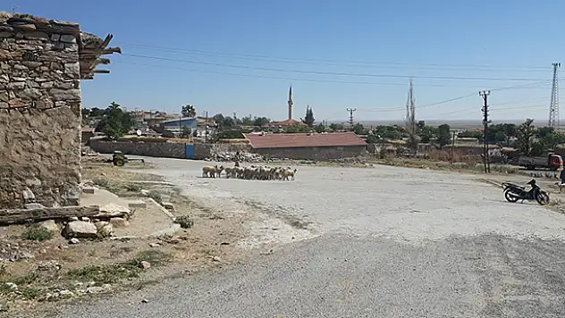 Konya'da kayıp küçükbaş hayvanları AFAD ekipleri buldu