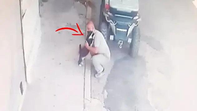 Konya'da kedi ile iş yeri sahibinin imrendiren dostluğu! Her sabah sarılarak karşılıyor