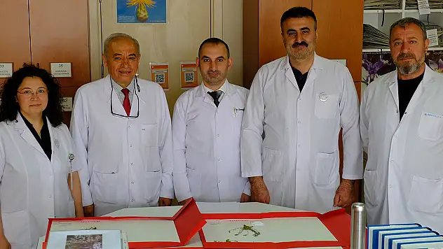 Konya'da keşfedilen 4 yeni tür literatüre geçti