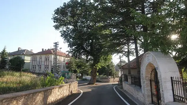Konya'da kesmeye kıyamadıkları 2 asırlık meşe ağacı yol ortasında kaldı
