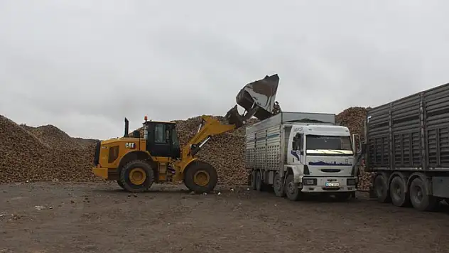 Konya'da kış ayında şeker pancarı nakliyesi mesaisi
