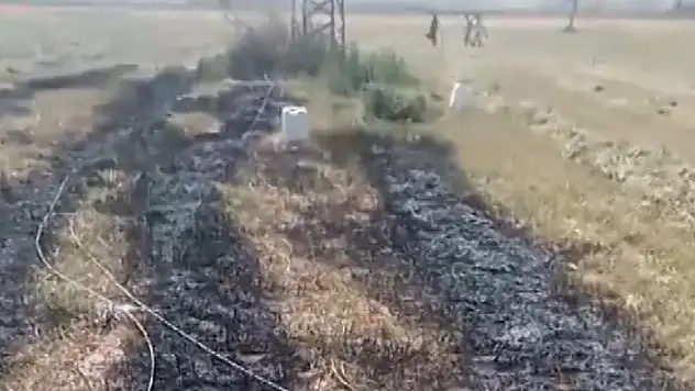 Konya'da kopan elektrik telleri yonca tarlasında yangın çıkardı
