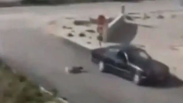 Konya'da köpeği arabaya bağlayarak sürükleyen kişi gözaltına alındı
