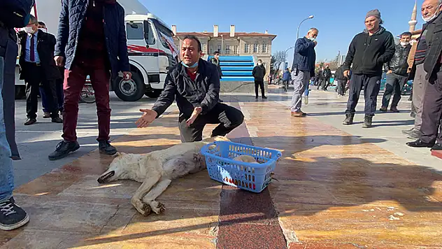 Konya'da köpeği tüfekle vurarak öldüren cani yakalandı
