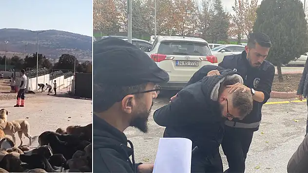Konya'da köpeğin kürekle öldürülmesinde 2 sanığın tahliyesine yapılan itiraza yine reddedildi