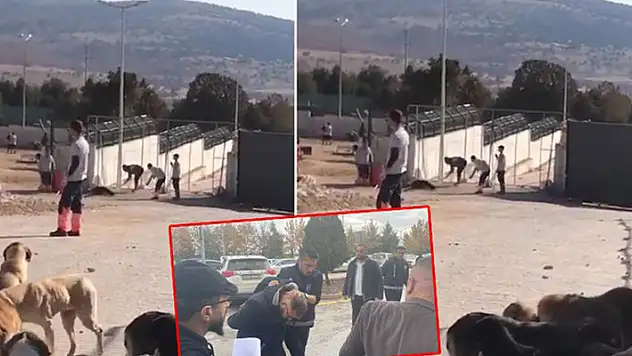 Konya'da köpeğin kürekle öldürülmesinde 2 sanığın tahliyesine başsavcılık itiraz etti