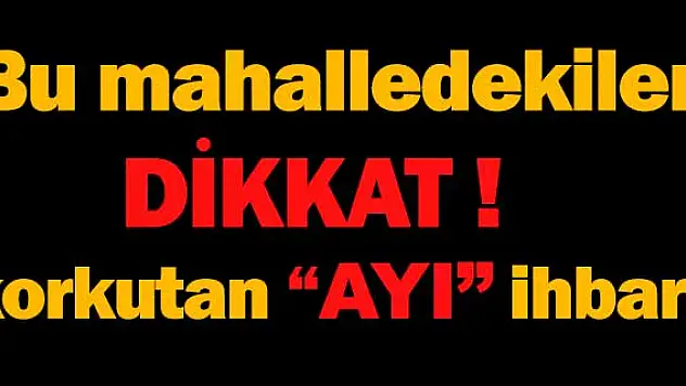 Konya'da korkutan 'ayı' ihbarı