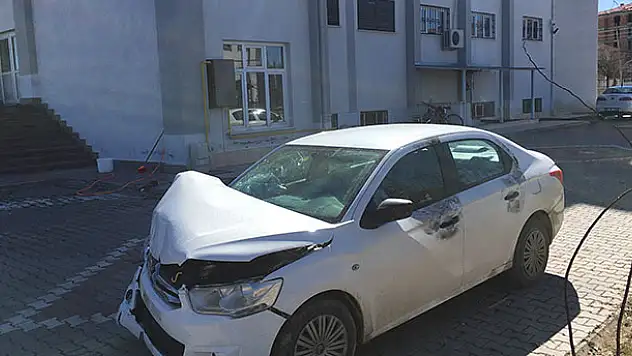 Konya'da koyun hırsızı polise yakalandı