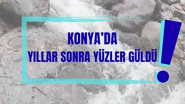Konya'da kuraklık yerini berekete bıraktı