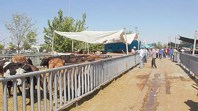 Konya'da Kurban Bayramı arifesinde pazarlarda sakinlik