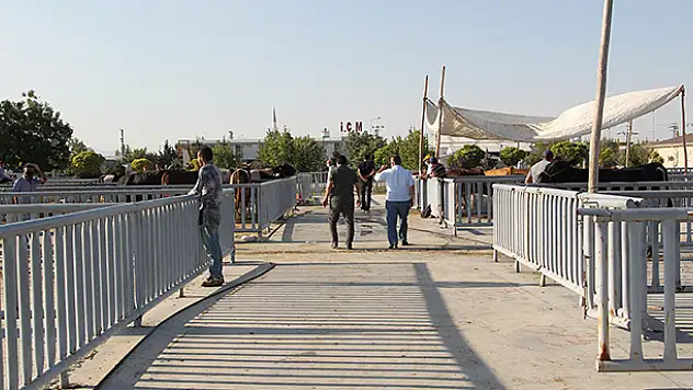 Konya'da kurban pazarında pandemi sakinliği