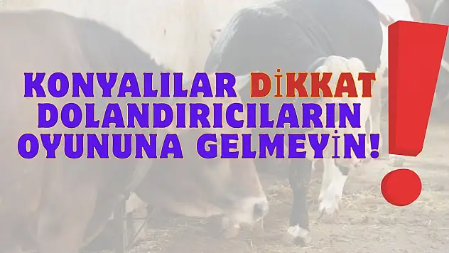 Konya'da kurbanlık uyarısı!