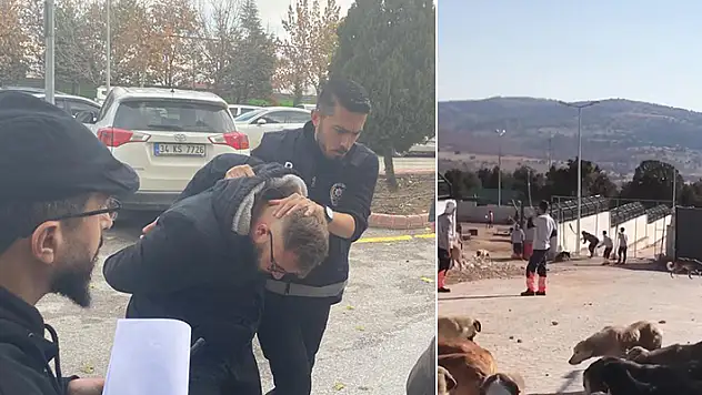 Konya'da kürekle köpeği öldüren sanıklara verilen ödül gibi cezanın gerekçesi: 'Suça meyilli kişiliğe sahip değiller' 