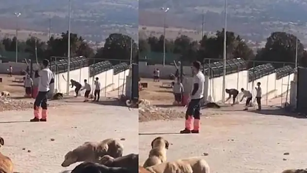 Konya'da kürekle köpek öldürenlerin cezası belli oldu! Mahkeme cezada indirip yapıp hükmün açıklanmasını da geri bıraktı