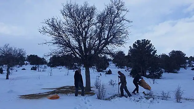 Konya'da kuşlar için doğaya yem bırakıldı