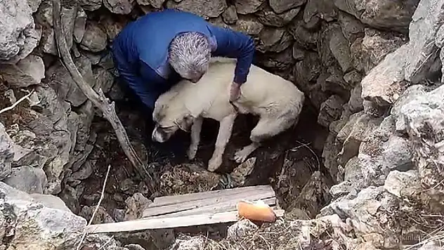 Konya'da kuyuya düşen köpeğe vatandaş yardım elini uzattı
