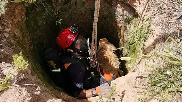 Konya'da kuyuya düşen kuzu kurtarıldı