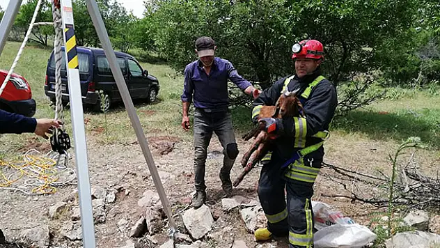 Konya'da kuyuya düşen oğlağı itfaiye ekipleri kurtardı