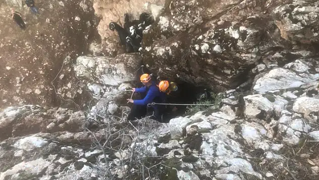 Konya'da mahsur kalan keçileri AFAD ekipleri kurtardı
