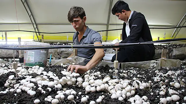 Konya'da meslek liseliler çiftçiliği hem sahada hem okulda öğreniyor