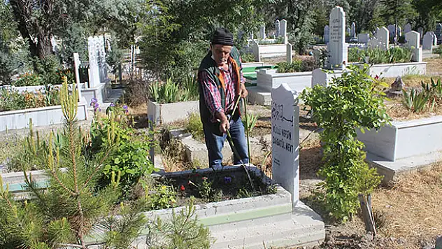 Konya'da mezarlıktan ağaç ve çiçek çalındı