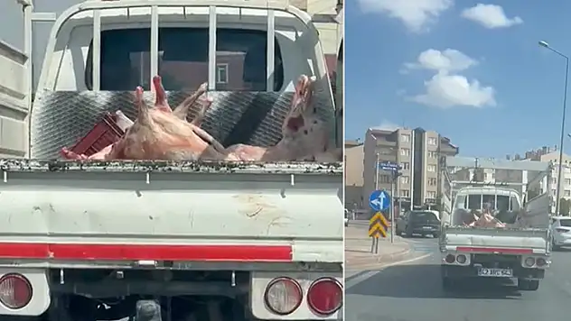 Konya'da mide bulandıran görüntü! Kilolarca eti kamyonet kasasında taşıdılar

