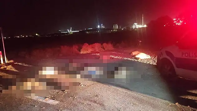 Konya'da minibüs sürüye daldı: 7 kişi yaralanırken 34 küçükbaş hayvan telef oldu
