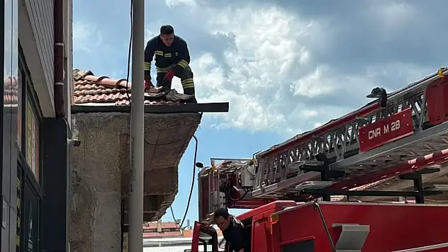 Konya'da minik misafirleri itfaiye kurtardı