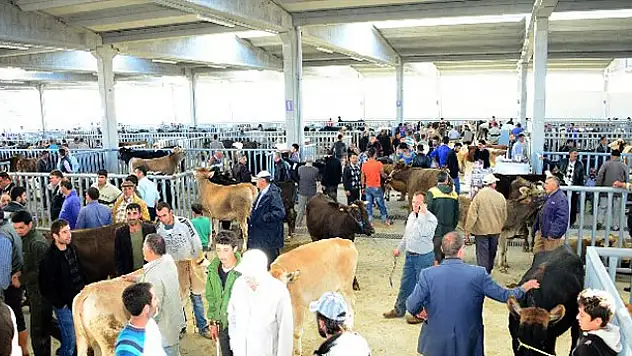Konya'da Modern Hayvan Pazarı Ve Saman Borsası İlgi Görüyor