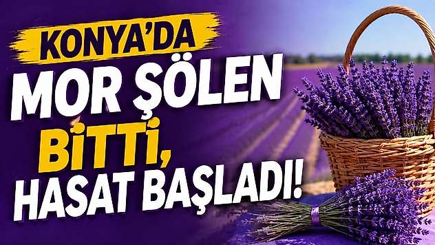 Konya'da mor şölen bitti, hasat başladı!