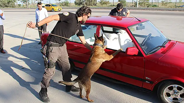 Konya'da narkotik köpeği 'Oscar' bayram mesaisinde