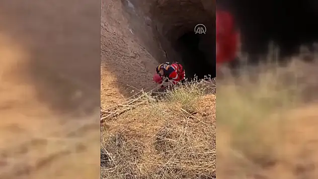 Konya'da obruğa düşen koyun itfaiye ekiplerince kurtarıldı
