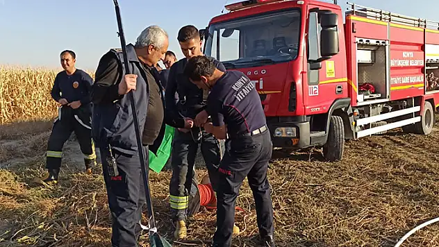 Konya'da obruğa düşen tilki kurtarıldı
