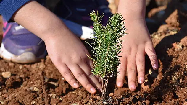 Konya'da öğrenciler fidanları toprakla buluşturdu
