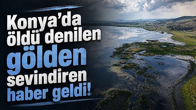 Konya'da öldü denilen gölden sevindiren haber geldi!