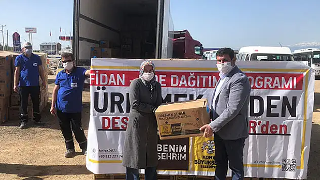 Konya'da organik çilek üretiminin merkezine büyükşehirden fide desteği