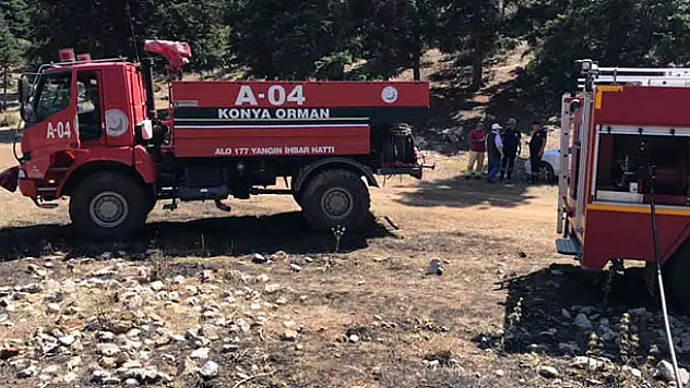Konya'da orman yangını: 3 dekar alan kül oldu