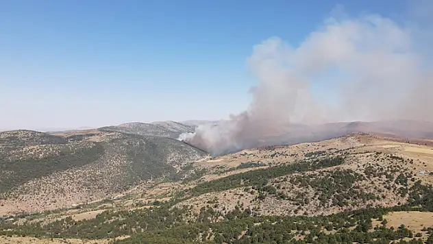 Konya'da ormanlık alanda çıkan yangın kontrol altına alındı