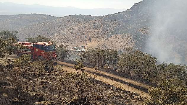 Konya'da ormanlık alanda çıkan yangın söndürüldü