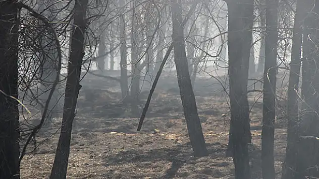 Konya'da ormanlık alandaki yangın kontrol altına alındı