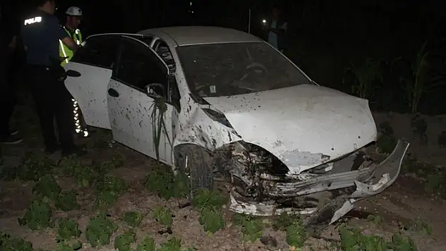 Konya'da otomobil ağaca çarpıp sebze bahçesine girdi: 5 yaralı
