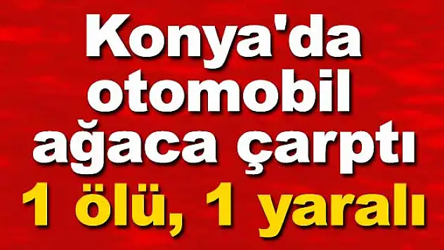 Konya'da otomobil ağaca çarptı: 1 ölü, 1 yaralı